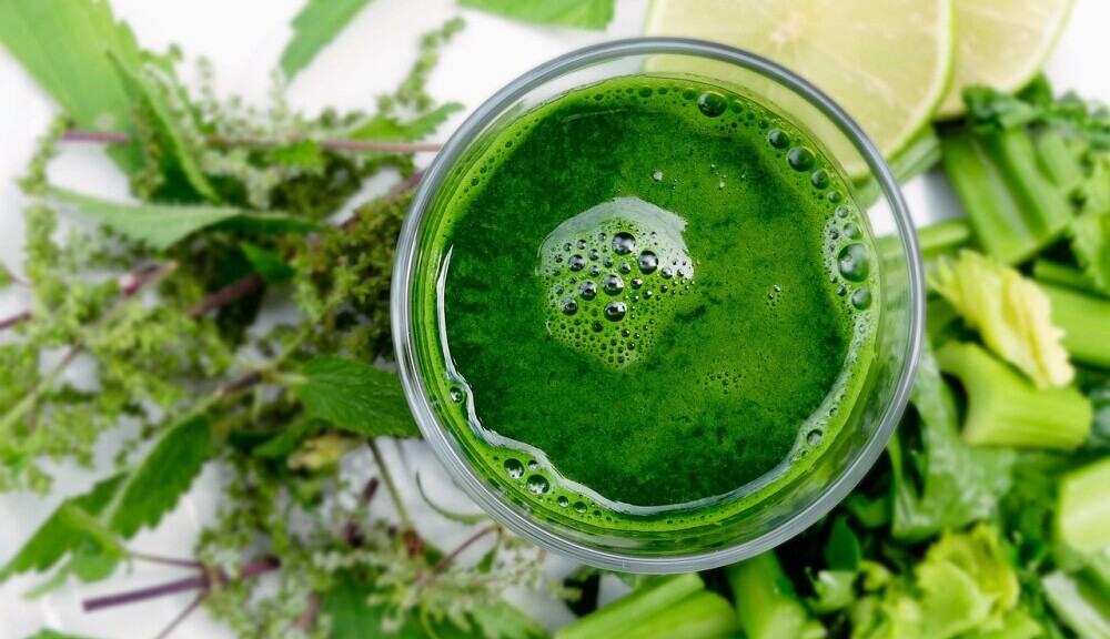 Sugar Free Smoothie